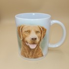 Chesapeake Bay Retriever Dog Picture Charictaristics Mug New Kathy Goff