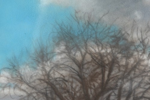 C15H12- Pastell Landschaft alter Birnbaum im Vorfrühling - Bild 5 von 12
