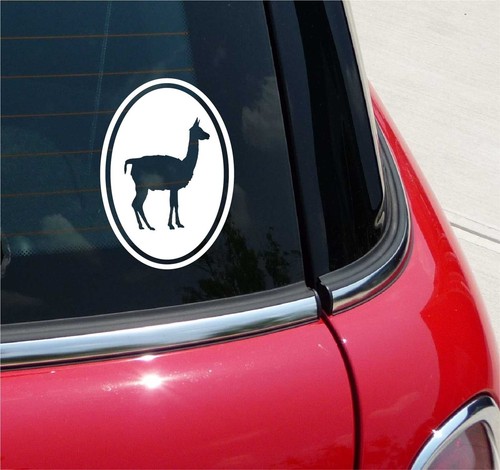 Euro Llama Farm Graphic Decal Sticker Car Wall Oval NOT Two Colors
