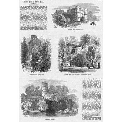ISLE OF WIGHT Ansichten in der Nähe von Carisbrooke - antiker Druck 1874
