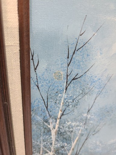 Foto 7 di 14