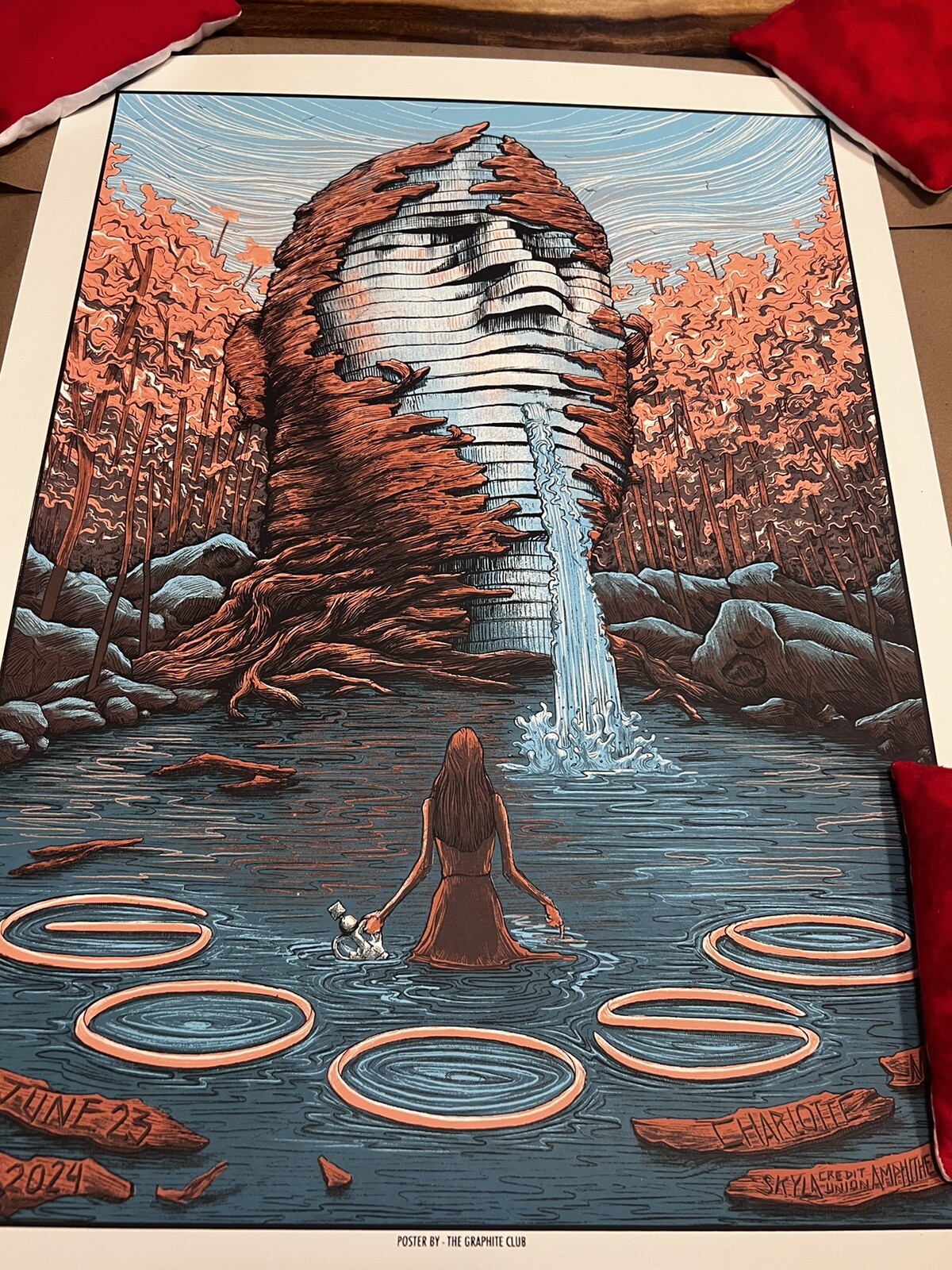 Picture 5 of 5