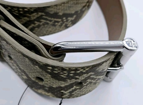 Ralph Lauren Leather Women's Belt Large Double Buckle Runway Hard to Find Snake - Picture 11 of 14