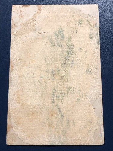 Flowers And Water Victorian Trade Card VTC 8 - Picture 2 of 2