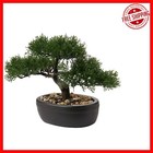 Elegant Mini Bonsai Tree with Ceramic Base - Perfect for All Seasons and Spaces