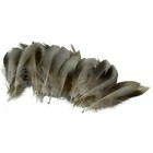 Bild 8 von 8