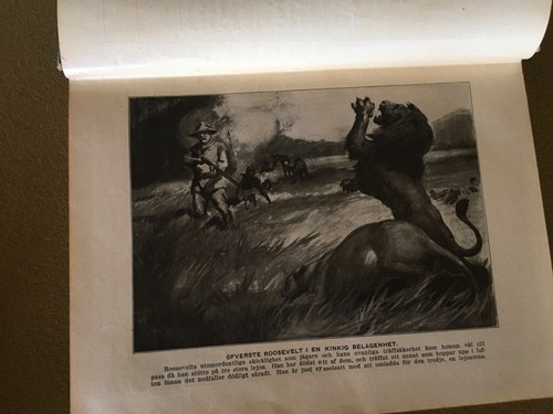 Roosevelt's Wild adventure in Africa -Hunting Big Game -1909 in Swedish - Picture 9 of 10
