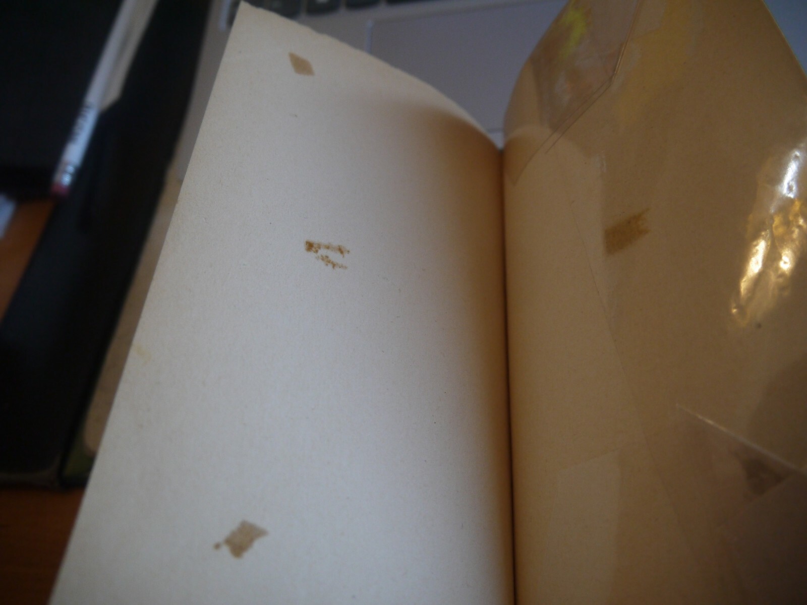 Picture 6 of 6