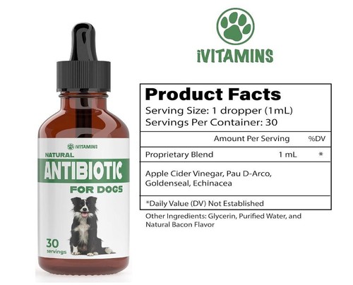 NATURAL ANTIBIOTICS FOR DOGS | DOG ANTIBIOTICS | SUPPORTS DOG ALLERGY RELIEF - Picture 6 of 7