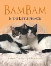 BamBam & The Little Princes: A Mostly True Story by Little Anthony (English) Pap