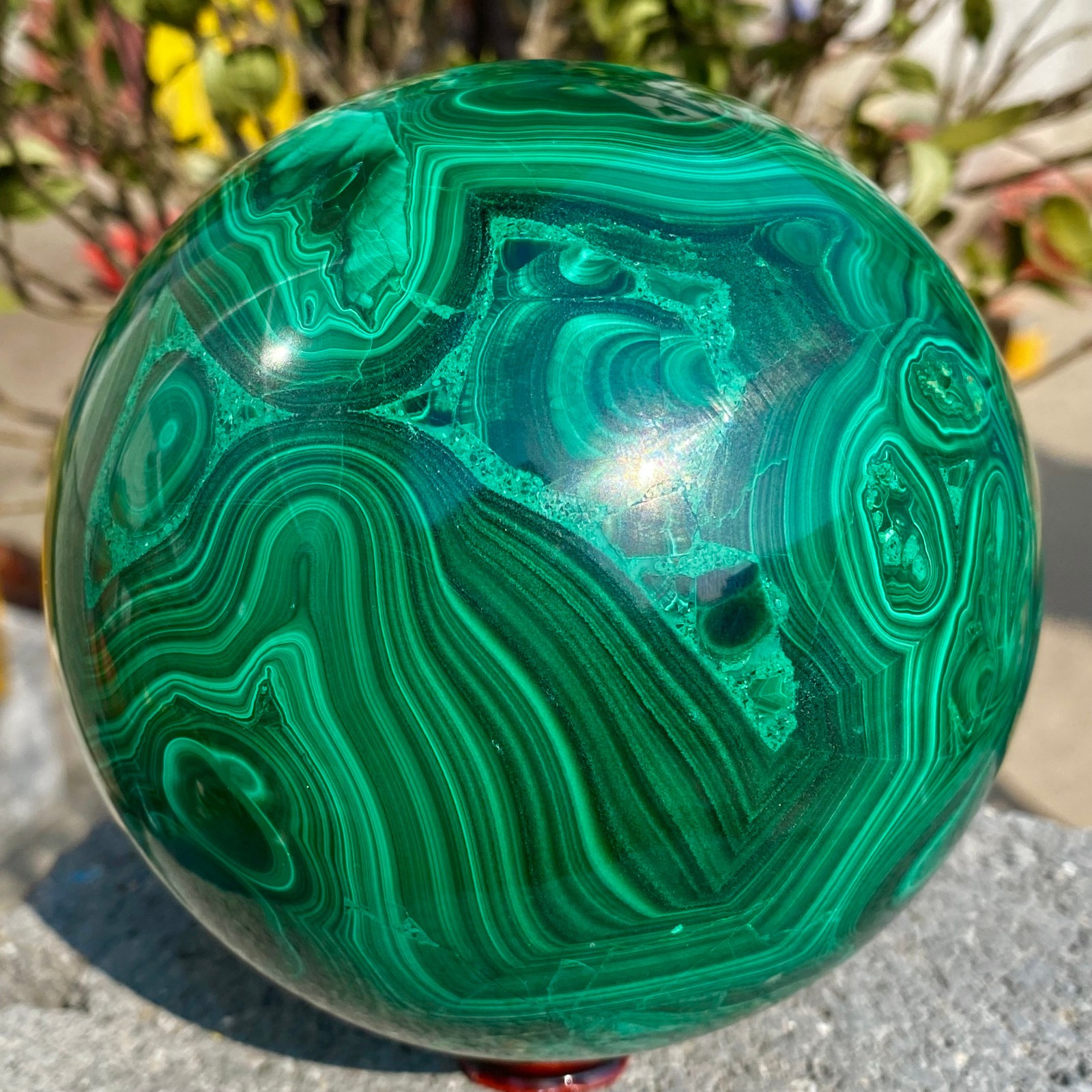 Picture 8 of 22