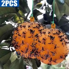 2 Sticky Fruit Fly Traps Ball Fungus Gnat Ant Adhesive Trap for Indoor-Outdoor