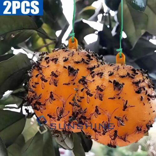 2PCS Sticky Fruit Fly Traps, Fungus Gnat Killer Trap use for Indoor Outdoor