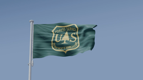 US Forstdienst Flagge USA Polyester 2x3 oder 3x5 - Video 1 von 1