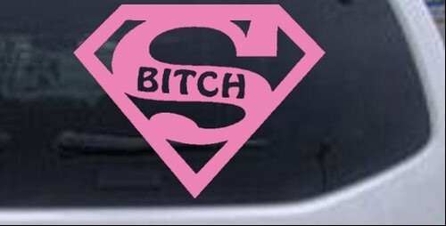 Superman Super Bitch Funny Car or Truck Window Laptop Decal Sticker - Picture 10 of 32