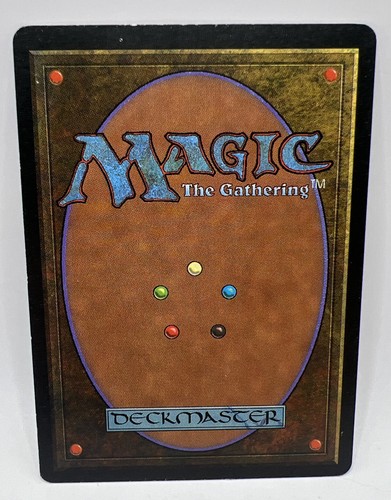 MTG - Revised - Forest - LP - signed by Christopher Rush - Picture 2 of 2