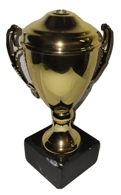 10'' x  6'' ''Gold'' colored Cup Trophy Award w/ base NEW IN BOX