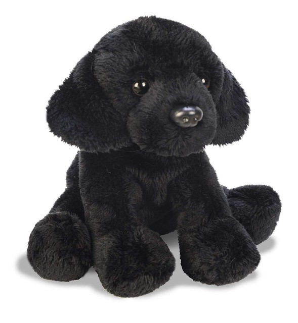 black dog teddy