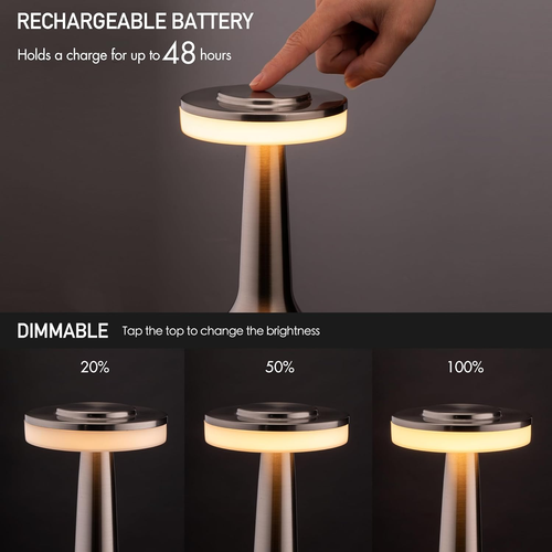 Portable LED Table Lamp, Touch Sensor, Rechargeable, Night Light for Kids (Silve - Picture 2 of 12