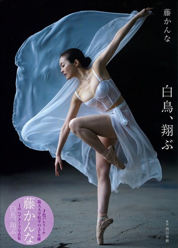 Kanna Fuji Photo Book Swan Flying Japanese Gravure Model Idol Tokuma from japan - Picture 1 of 5