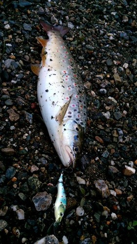Jointed Handmade Wood Fishing Lure Brown Trout (7cm/2.75 inch) - Picture 5 of 9