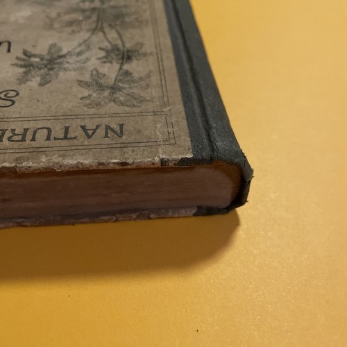 Wright Julia McNair / ANTIQUE 1892 Nature Readers Sea-Side and Way-Side No 3 1st - Picture 6 of 12