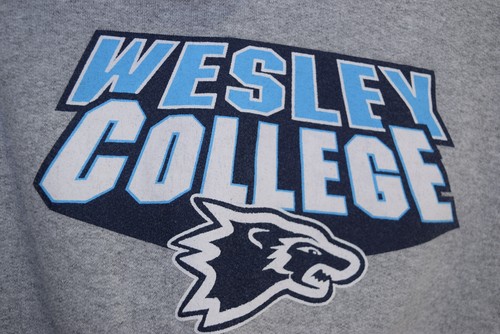 Defunct Wesley College DE Wolverines Pullover Hoodie Sweatshirt BOYS M 8 Gray - Picture 6 of 16