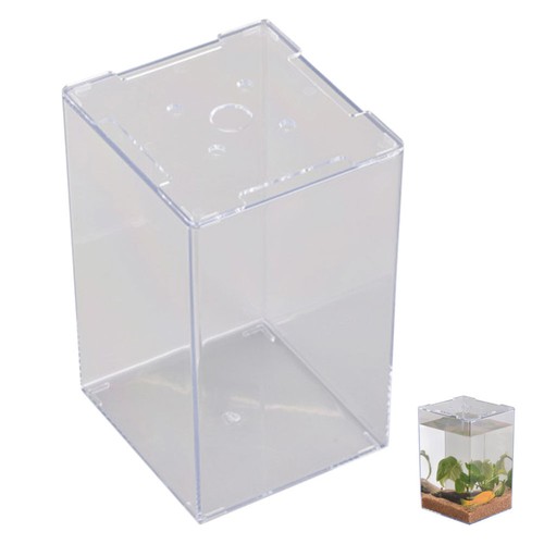 Betta Fish Decor Minimalistic Design Aquarium Small Container