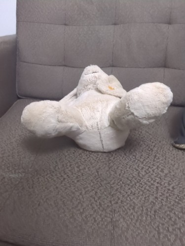 Steiff Hoppie Rabbit Friends Soft & Cuddly Large 38cm Plush Light Grey 080487 - Picture 6 of 13