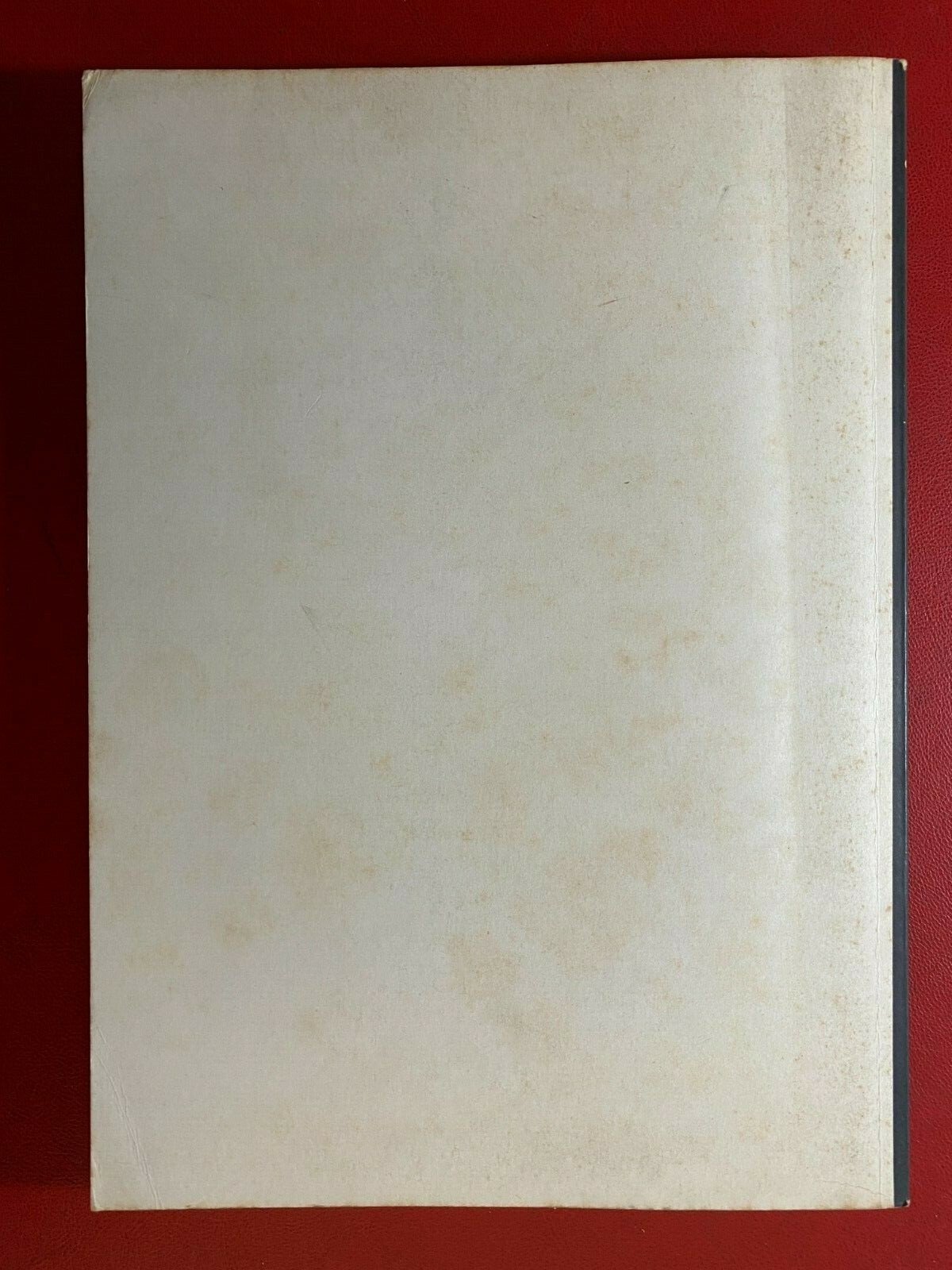 Foto 10 di 10