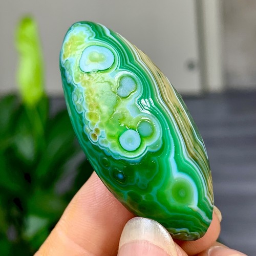 31G Natural Gobi Thousand Eyed Agate tumble palmstone Shape Reiki Chakra Healing - Picture 19 of 21