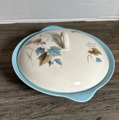 Servizio piatti vintage Cina sembra essere "momenti gay" di Myott anni '50-60 - Foto 1 di 9