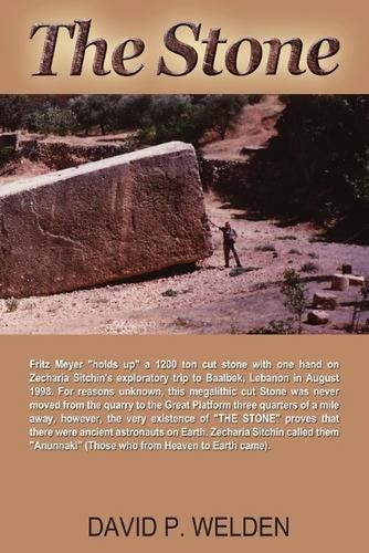 The Stone von David P. Welden (Englisch) Taschenbuch
