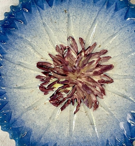 French Majolica plate Flower Massier Vallauris BLUEBERRY - Picture 2 of 5