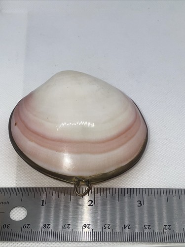 TRINKET BOX COWRY SHELL JEWELRY BOX TRINKET BOX COIN BOX PILL BOX - Picture 5 of 7