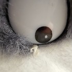 Bild 11 von 12