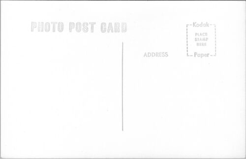 RPPC Illinois IL testo canzone di stato quercia B&W collage cartolina non spedita - Foto 2 di 2