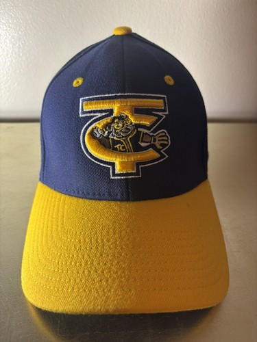 Traverse City Beach Bums Hat Cap M L Medium Large ZEPHYR Flex fit Fitted - Picture 1 of 2