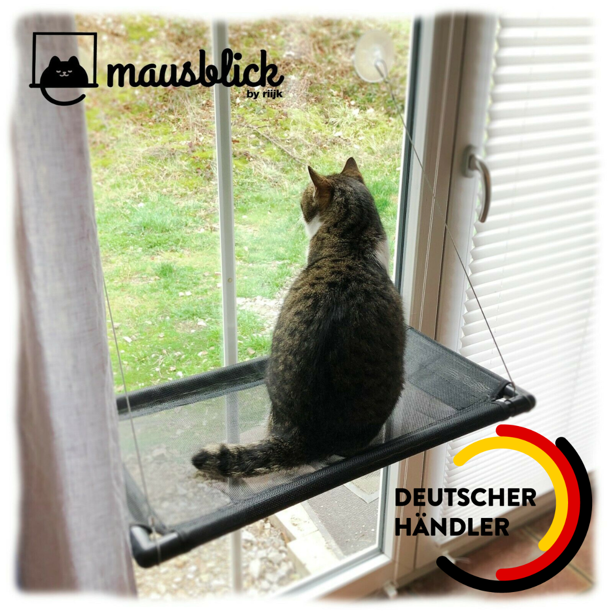 Bild 1 von 18