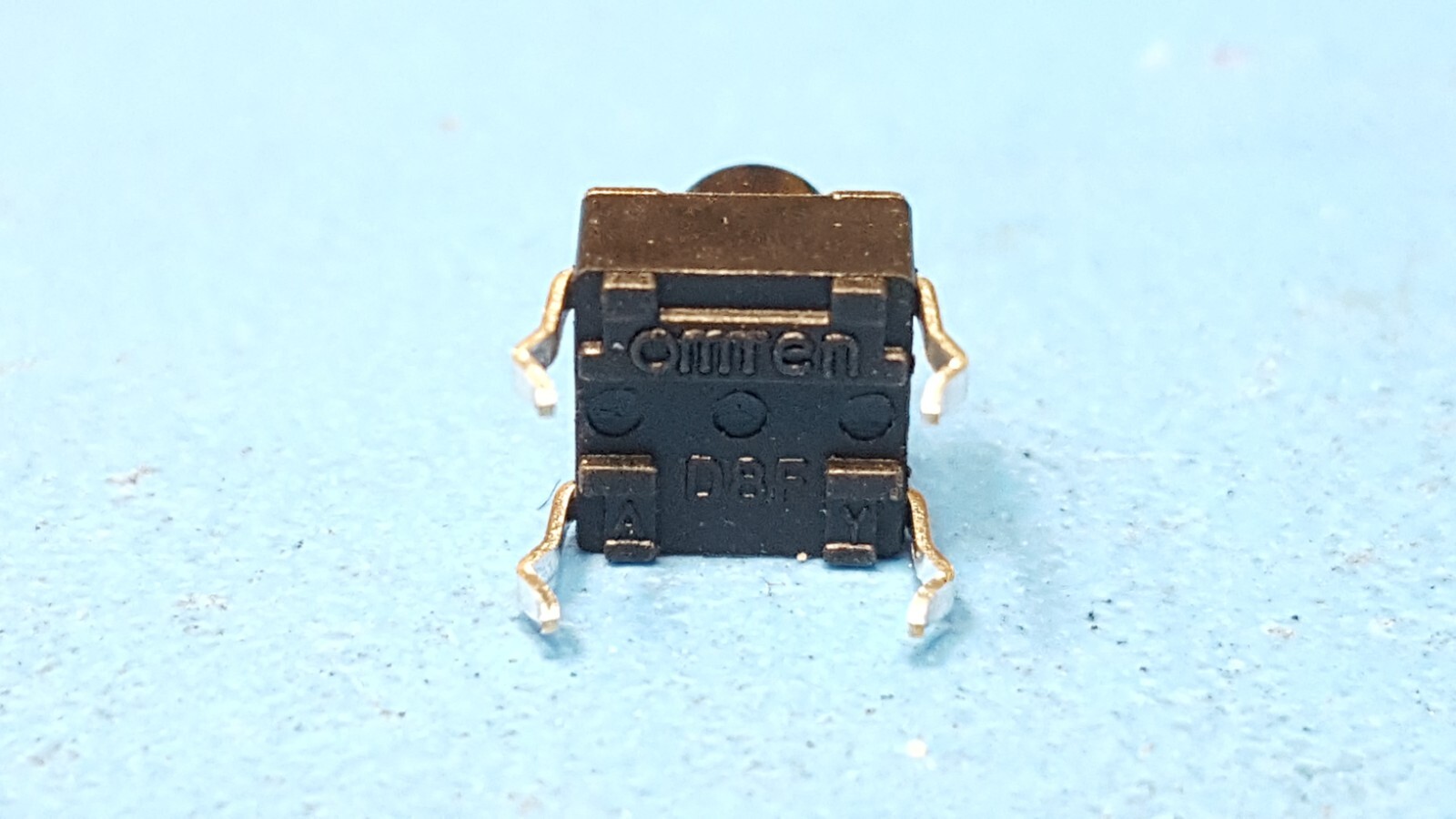 Picture 6 of 6