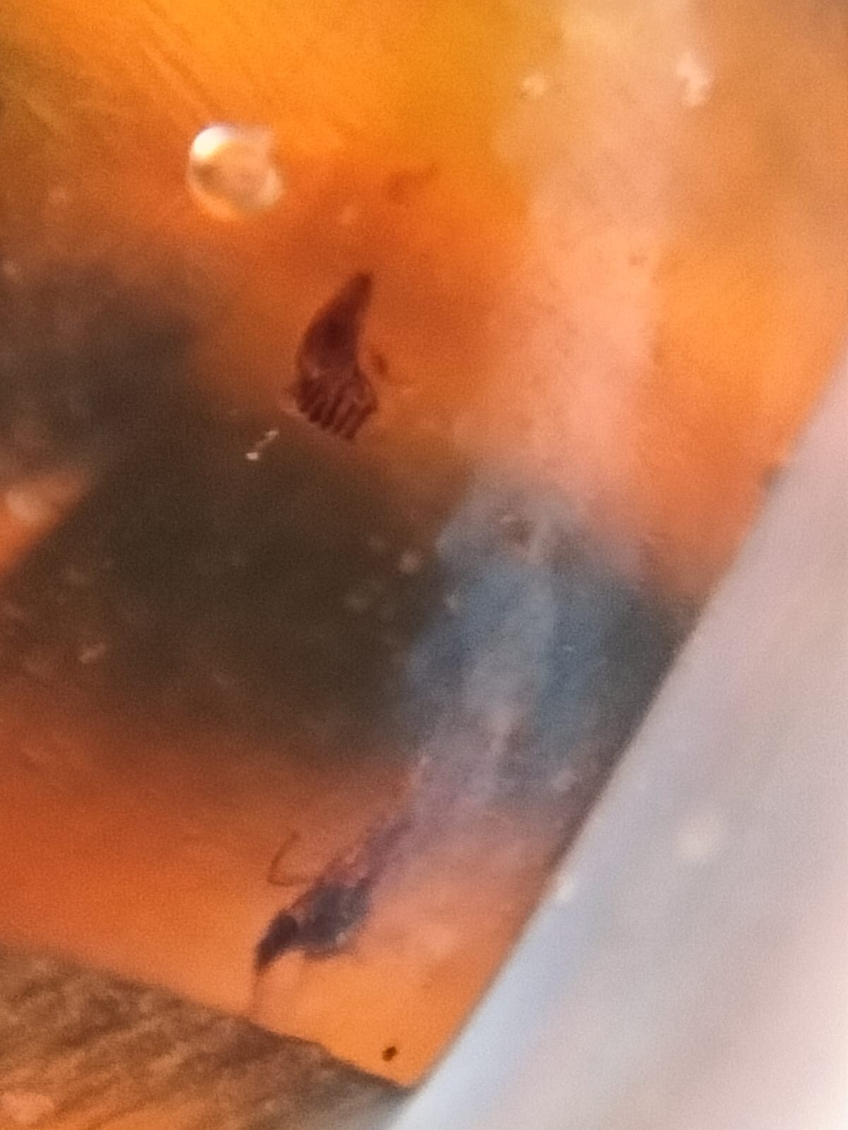 Picture 10 of 19