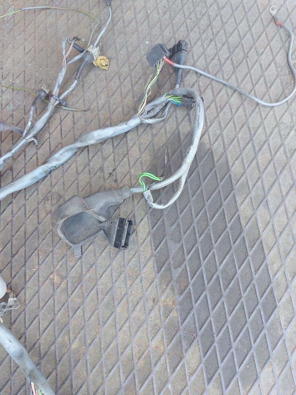 Picture 5 of 5