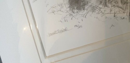 Panda Sketch. David Shepherd.Pencil Sketch.Limited Ed.Art Print.Mounted Print. - Picture 2 of 3