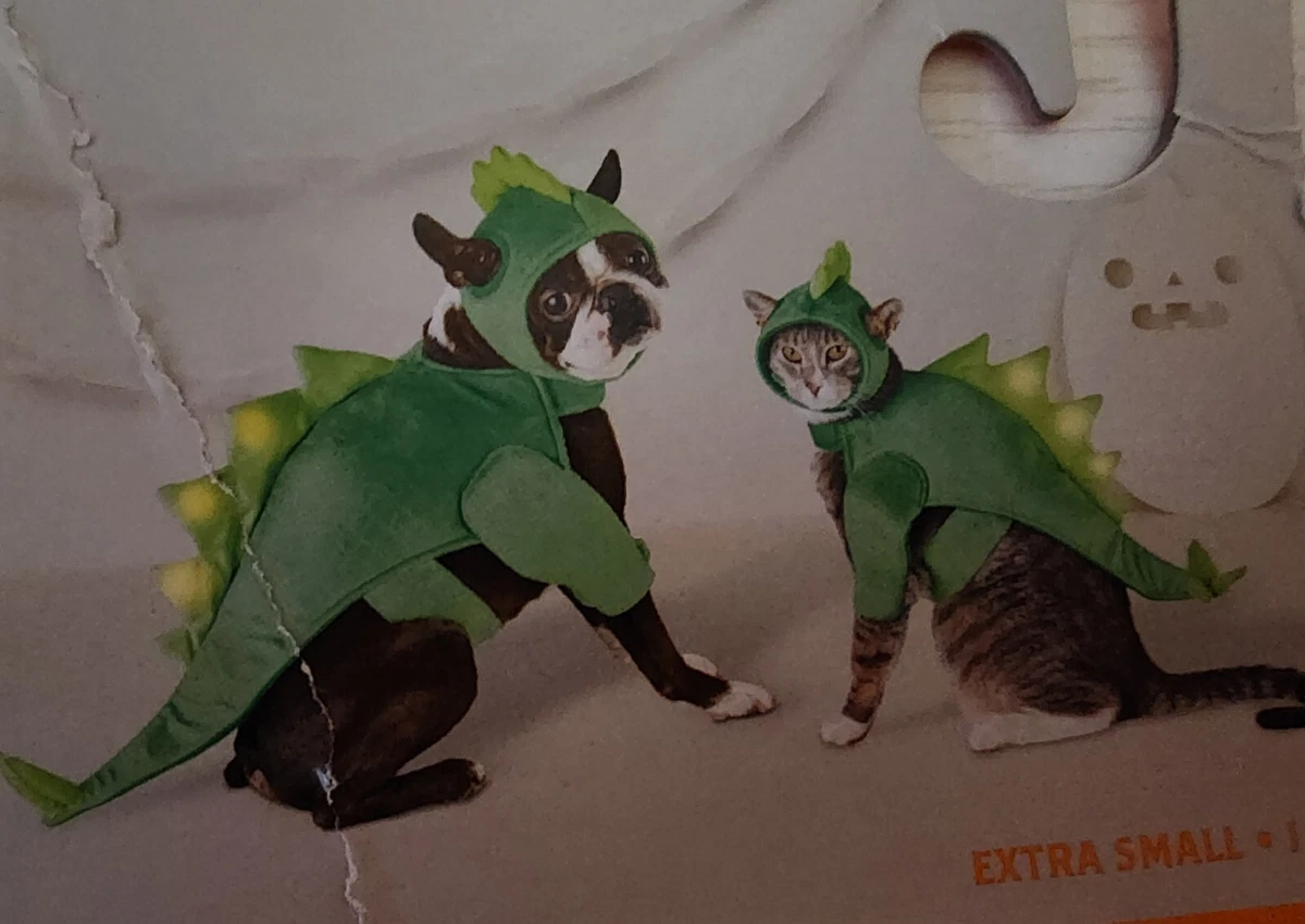 Stegosaurus 2025 cat costume