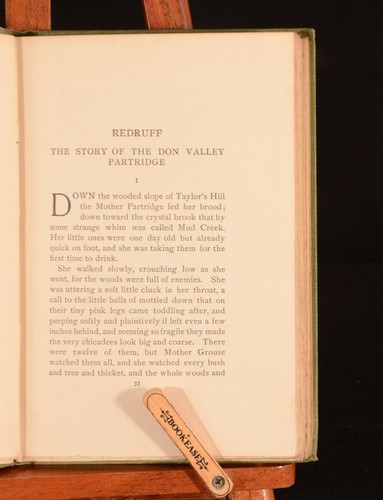 1900 Raggylug The Cottontail Rabbit and Other Animal Stories acheter Ernest Seton-Tho...