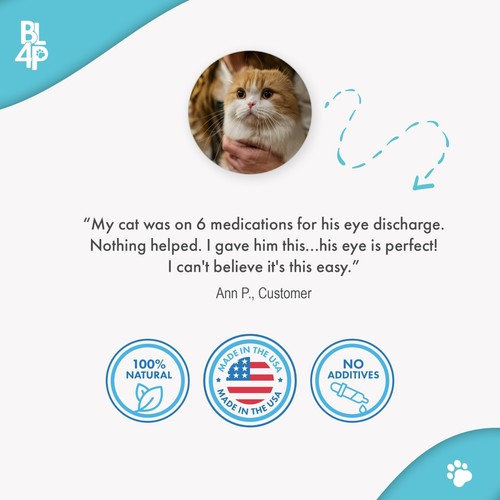 Cat Eye Infection & Vision Care Support - Bild 2 von 8