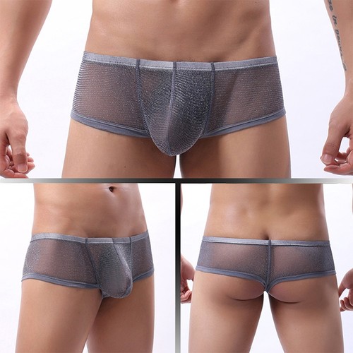 Sheer Mesh Pouch Low Waist Boxer Briefs Underwear Panties For Men M 2XL - Picture 22 of 36