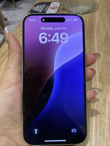 Apple iPhone 16 Pro Max - 256 Go - Titane naturel (Désimlocké) - Photo 4 sur 4