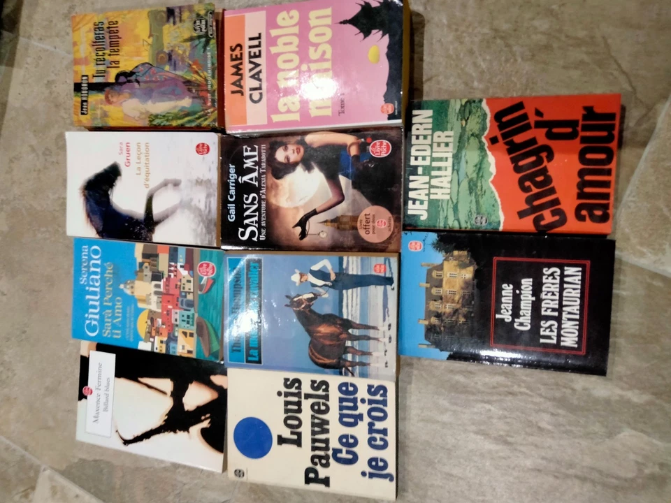 LOT 20 LIVRES poche , collection POCHE , en bon état ( 101) - Photo 3/3