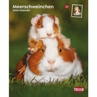 Bild 34 von 47